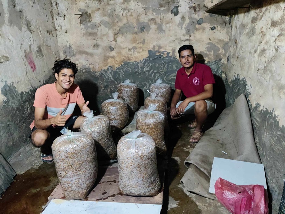 Social Entrepreneurship: Empowering Communities Through Sustainable Initiatives